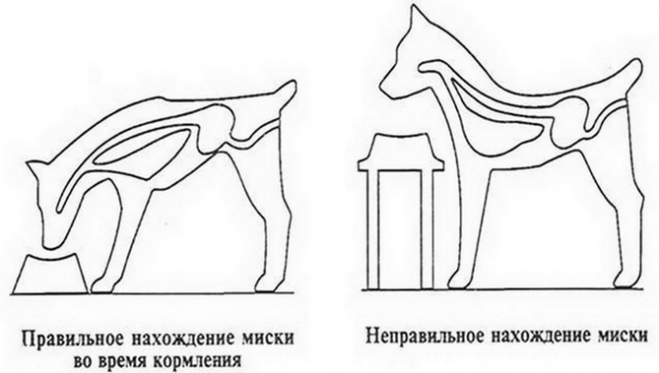 штатив для миски собаке